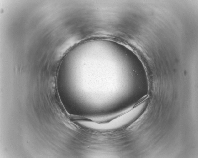 X0000088881355200706221804