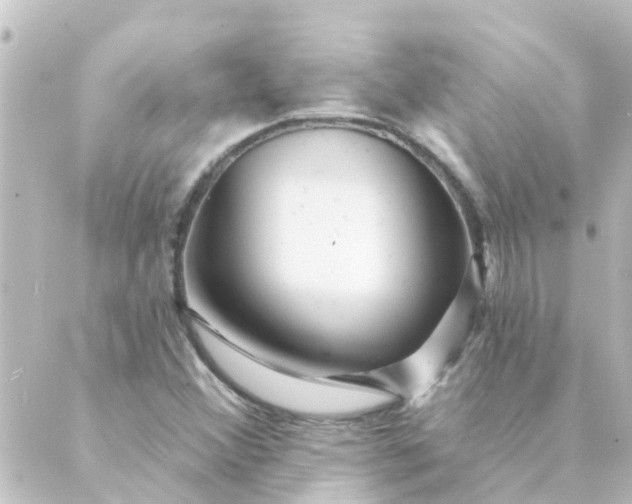 X0000088881356200706221804