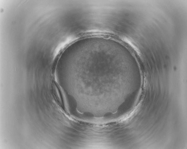 X0000088881357200706221804