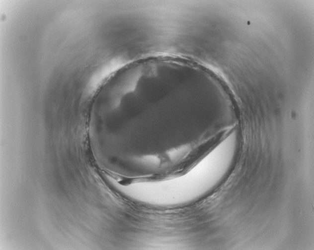 X0000088881359200706221804