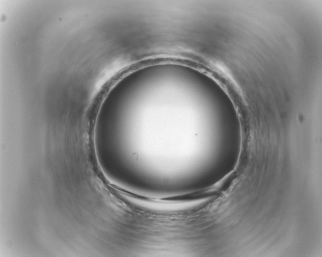 X0000088881360200706221804