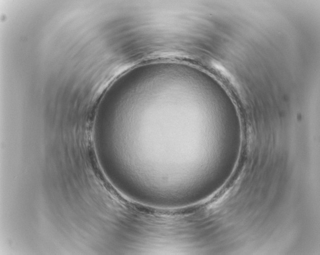 X0000088881361200706221804