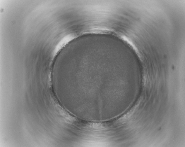 X0000088881362200706221804