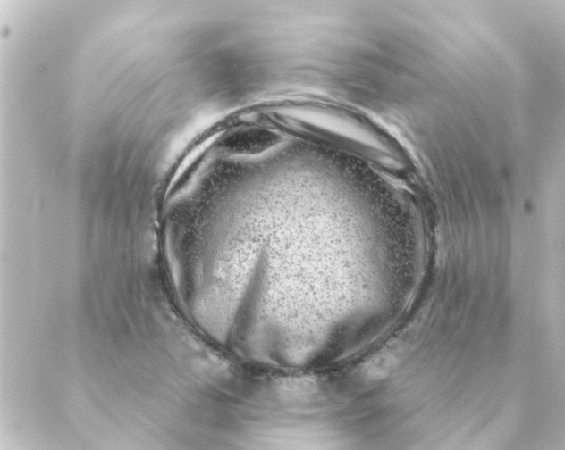 X0000088881363200706221804