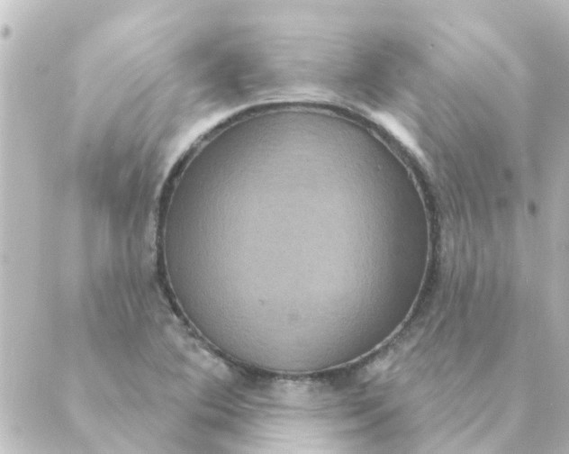 X0000088881364200706221804