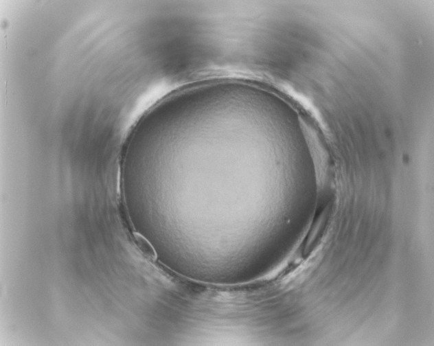 X0000088881365200706221804