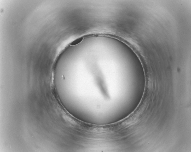 X0000088881366200706221804