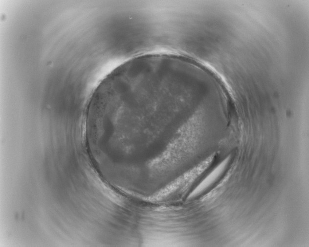 X0000088881367200706221804