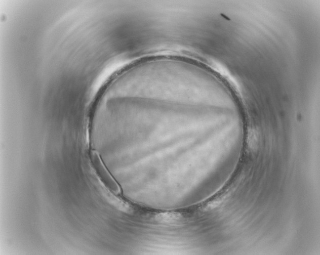 X0000088881368200706221804