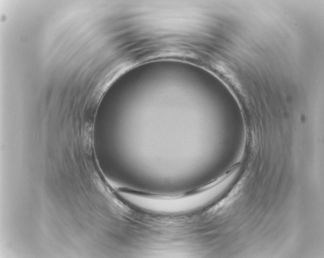 X0000088881369200706221804