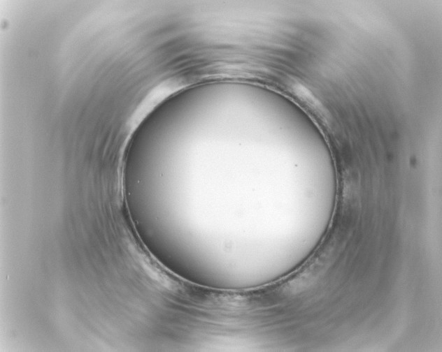 X0000088881370200706221804