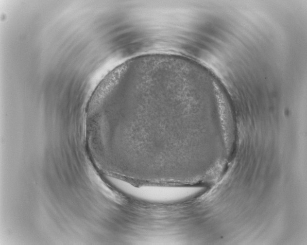 X0000088881371200706221804