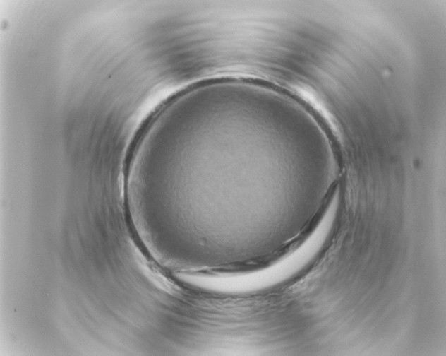 X0000088881372200706221804