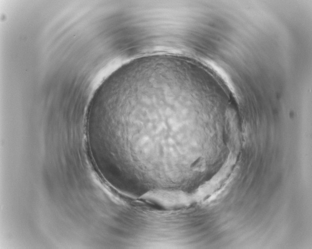 X0000088881373200706221804