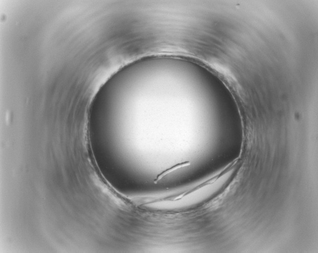 X0000088881374200706221804