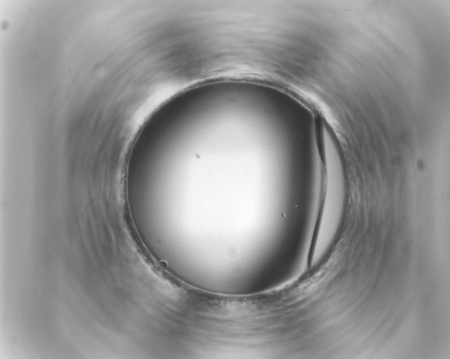 X0000088881375200706221804