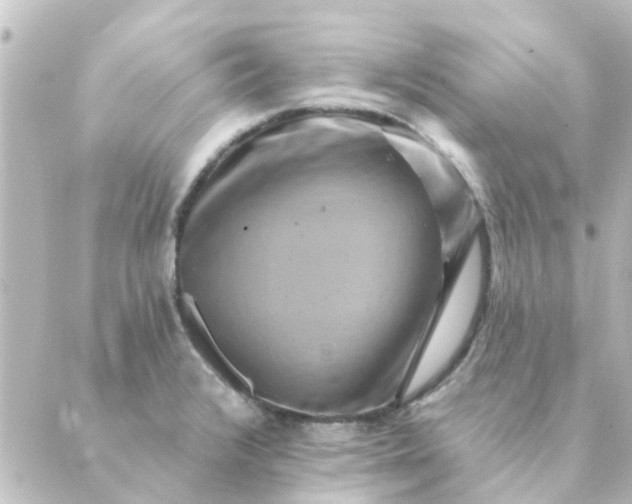 X0000088881376200706221804