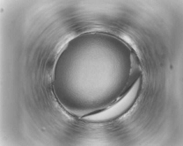 X0000088881377200706221804