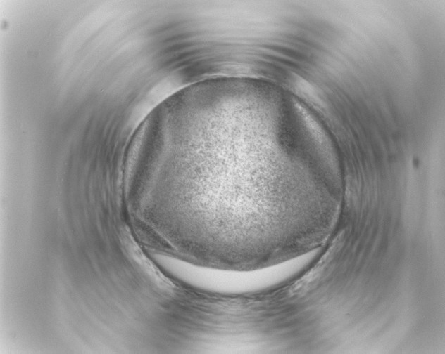 X0000088881378200706221804