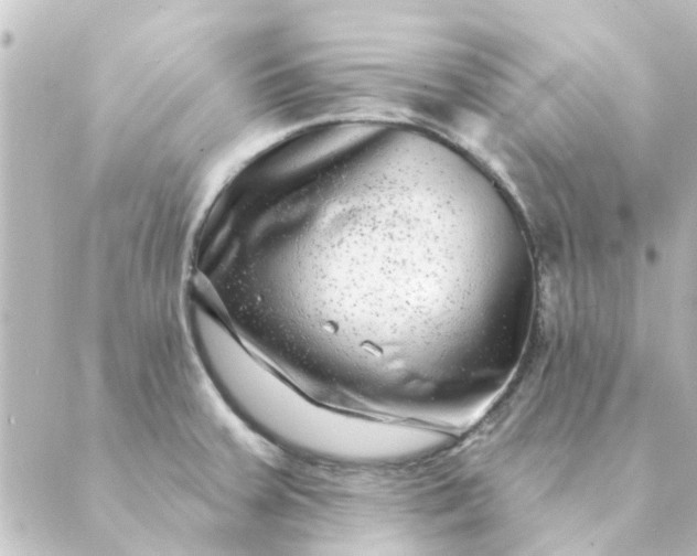 X0000088881379200706221804