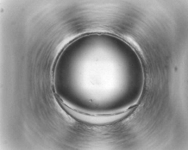 X0000088881380200706221804