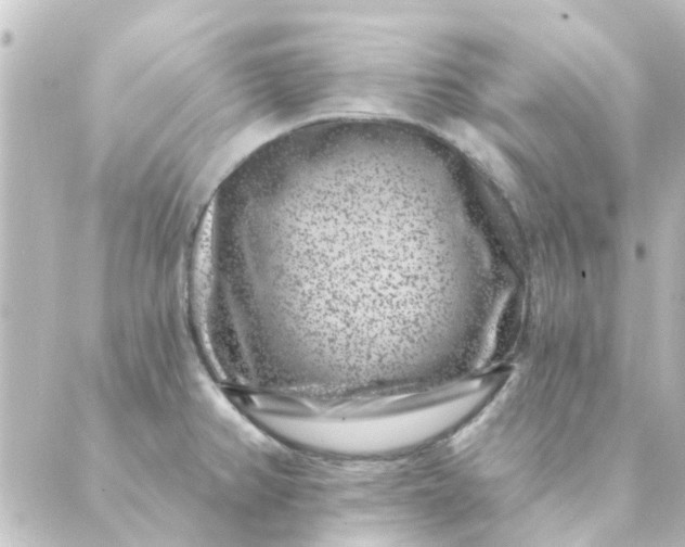 X0000088881382200706221804