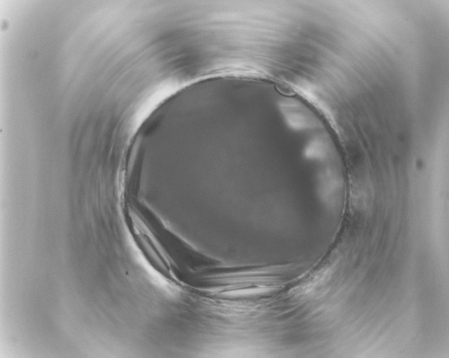 X0000088881383200706221804