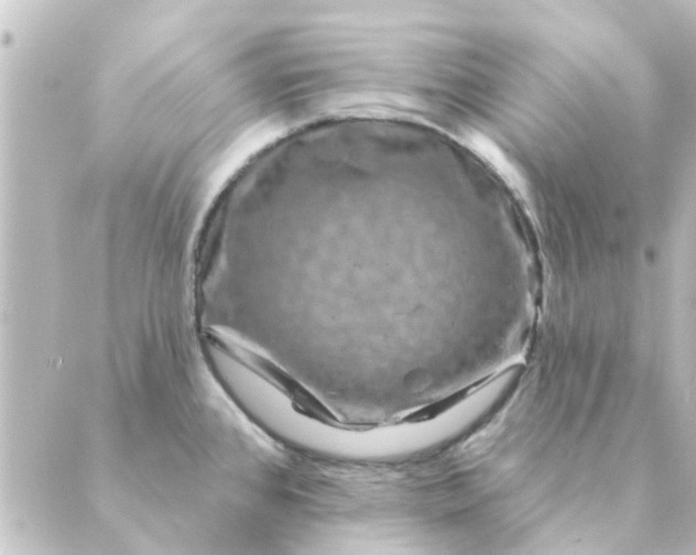 X0000088881384200706221804