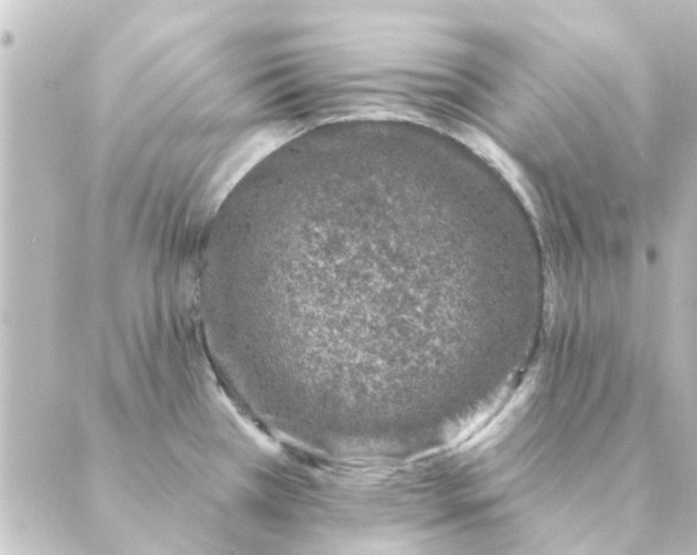 X0000088881385200706221804