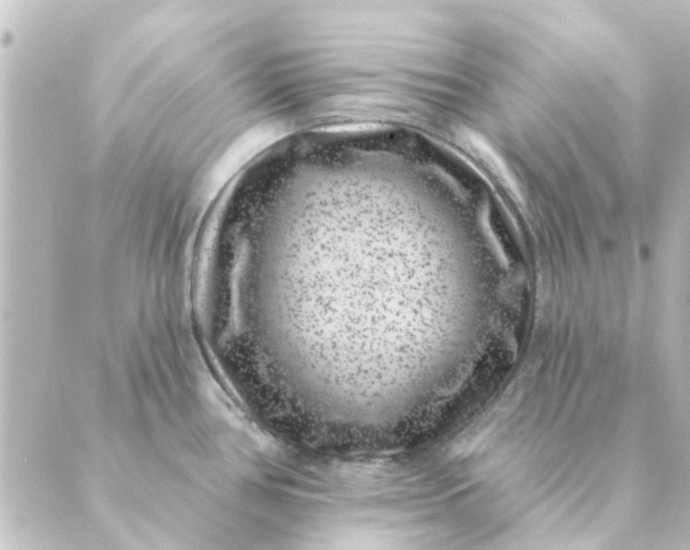 X0000088881386200706221804