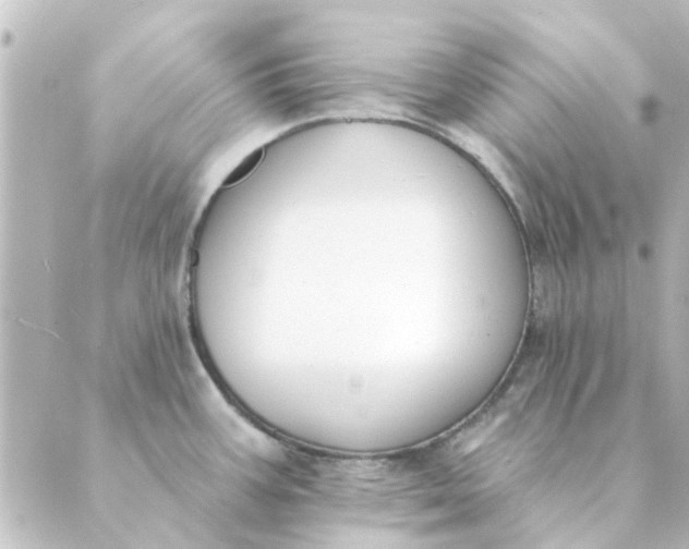 X0000088881387200706221804