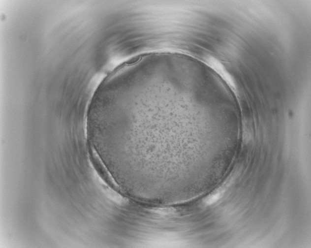 X0000088881388200706221804