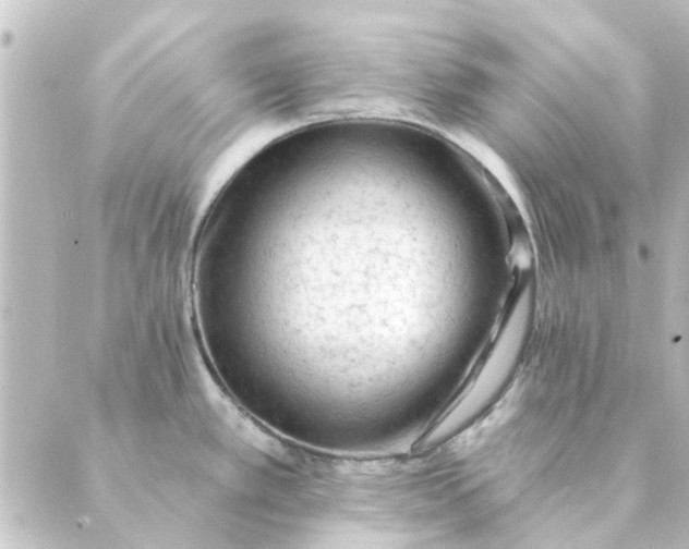 X0000088881389200706221804