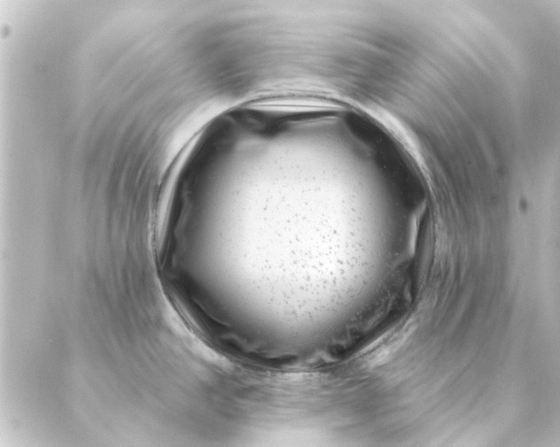 X0000088881390200706221804