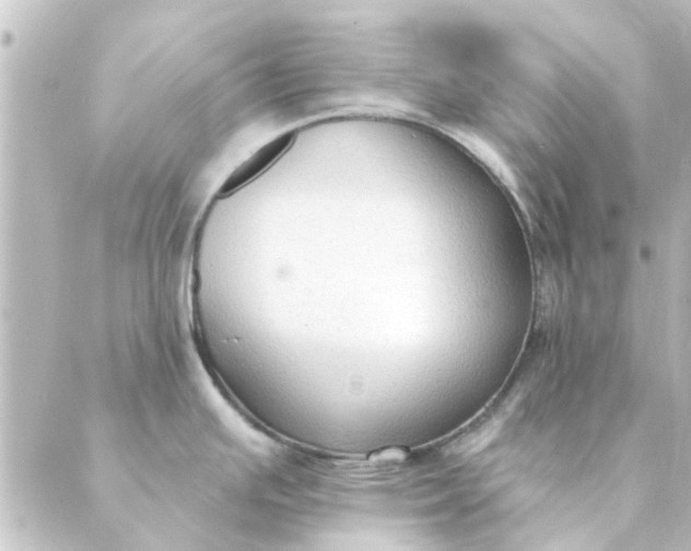 X0000088881391200706221804