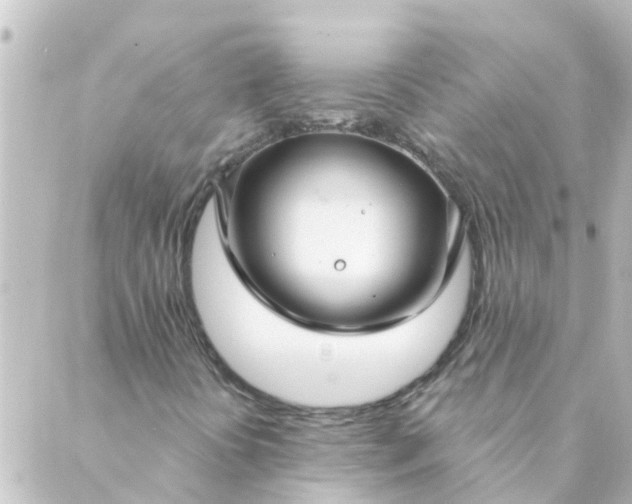 X0000088881394200706221803