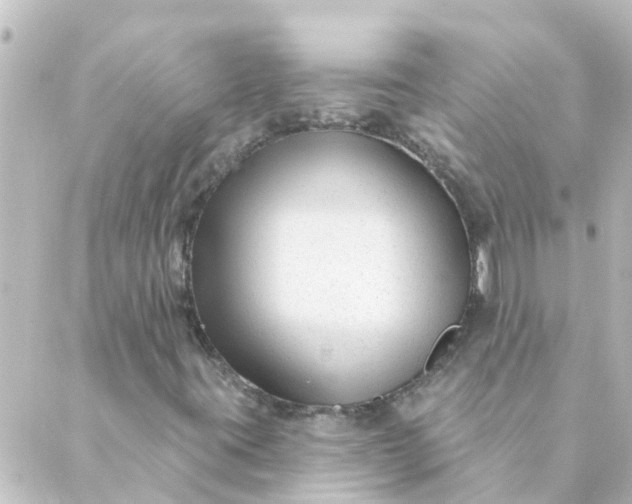 X0000088881395200706221803