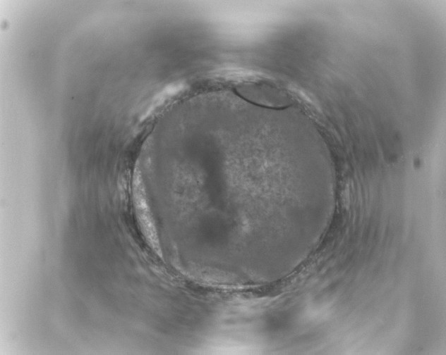 X0000088881397200706221803