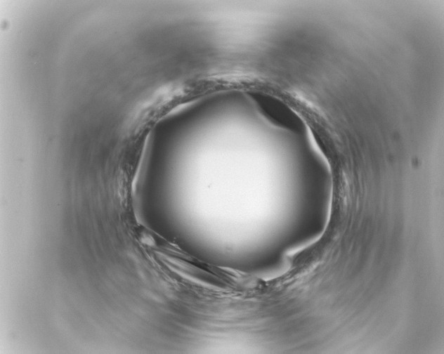 X0000088881398200706221803