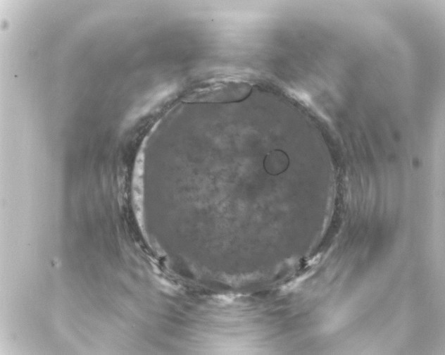 X0000088881399200706221803