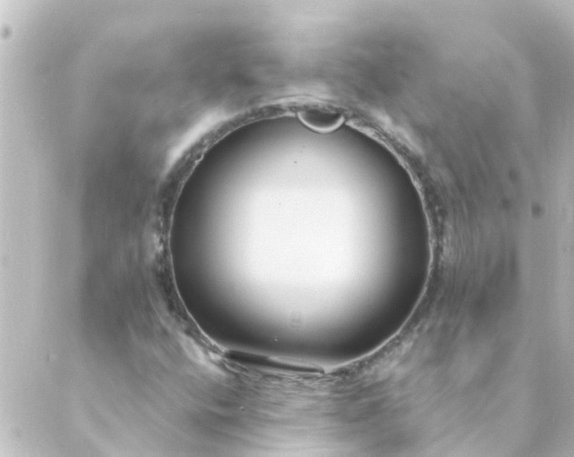 X0000088881400200706221803