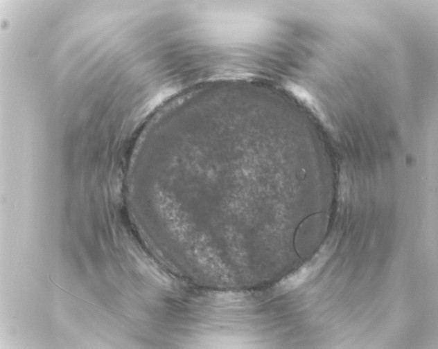 X0000088881401200706221803