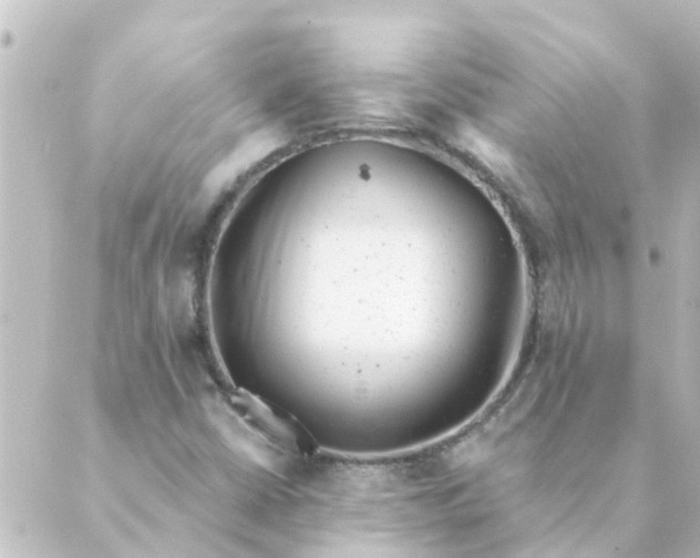 X0000088881402200706221803