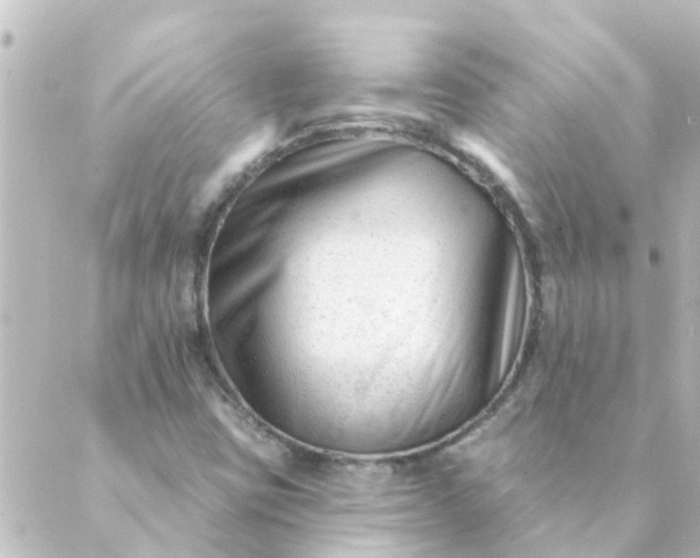 X0000088881403200706221803