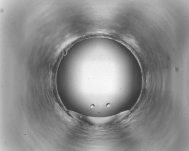 X0000088881404200706221803