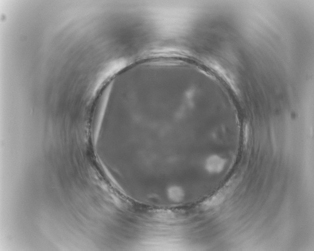 X0000088881405200706221803