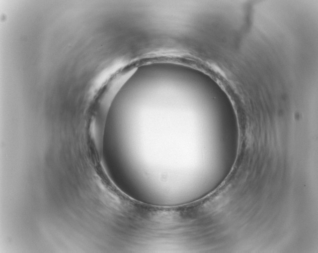 X0000088881406200706221803