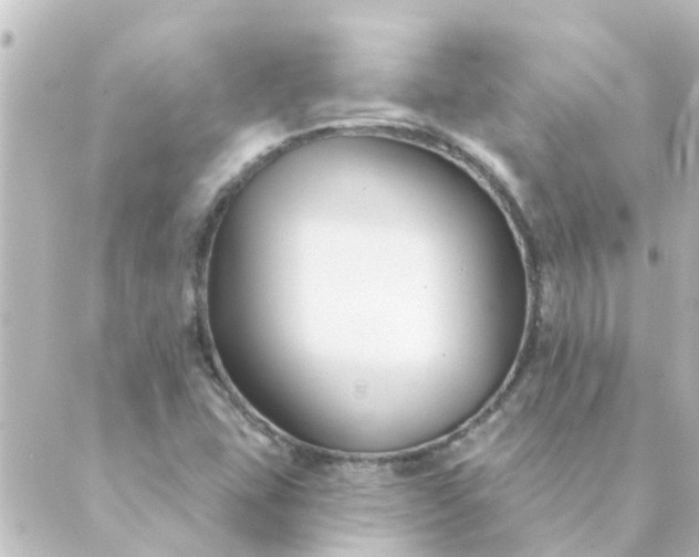 X0000088881407200706221803