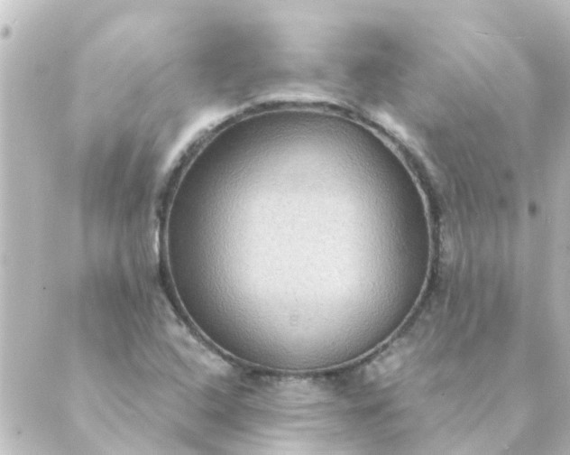 X0000088881408200706221803