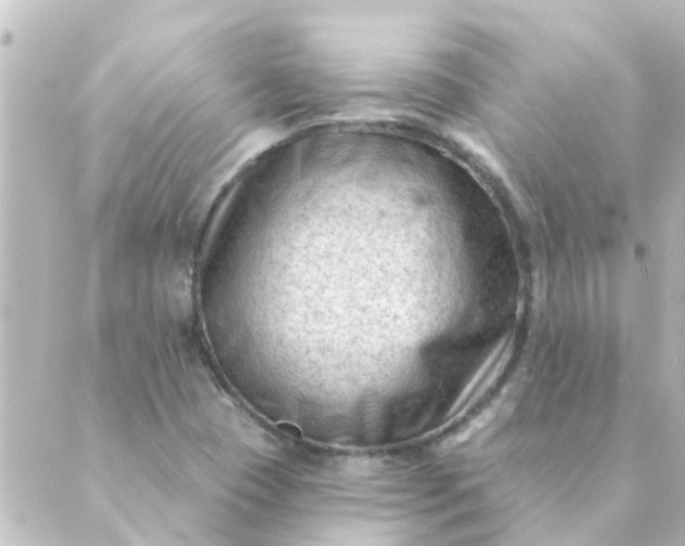 X0000088881409200706221803